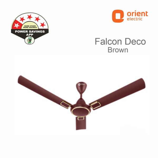 FALCON DECO Brown by Orient